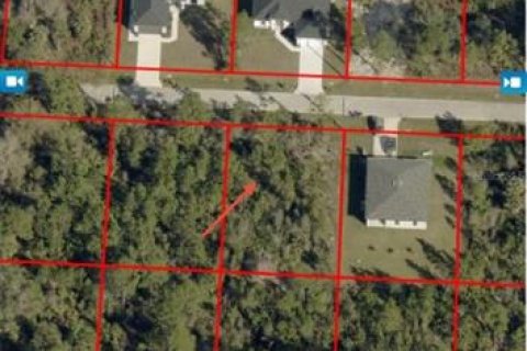 Terreno en Lehigh Acres, Florida № 2164436