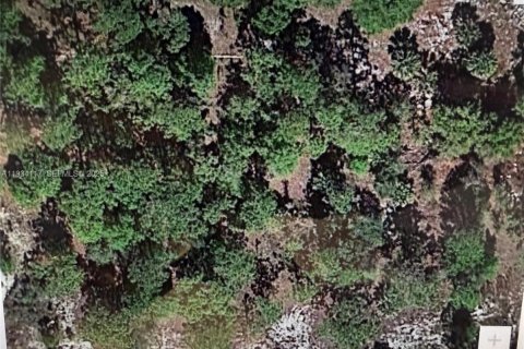 Terreno en venta en Clewiston, Florida № 1992276 - foto 2