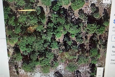 Terreno en venta en Clewiston, Florida № 1992276 - foto 1