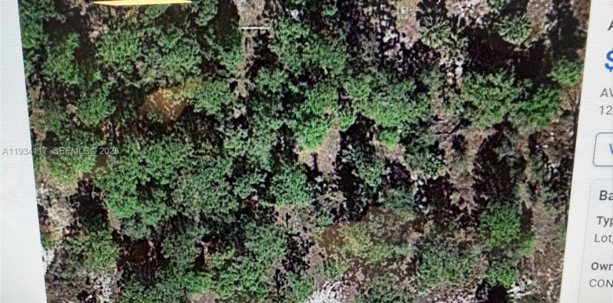 Terreno en Clewiston, Florida № 1992276