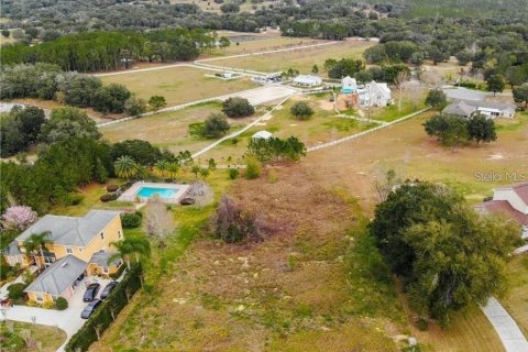 Terreno en venta en Clermont, Florida № 1905127 - foto 16