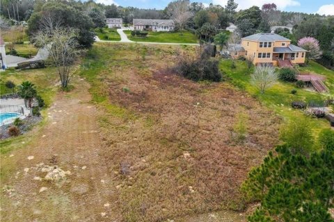 Terreno en venta en Clermont, Florida № 1905127 - foto 5