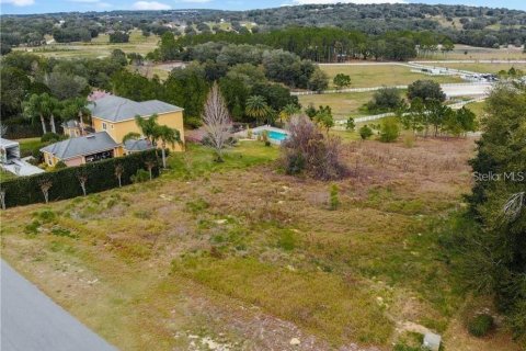 Terreno en venta en Clermont, Florida № 1905127 - foto 11