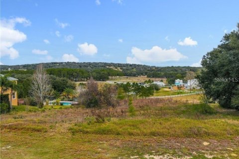 Terreno en venta en Clermont, Florida № 1905127 - foto 6