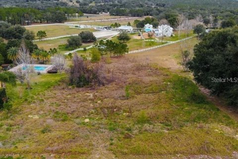 Terreno en venta en Clermont, Florida № 1905127 - foto 9