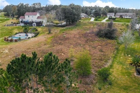 Terreno en venta en Clermont, Florida № 1905127 - foto 3