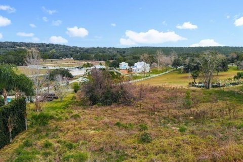 Terreno en venta en Clermont, Florida № 1905127 - foto 18