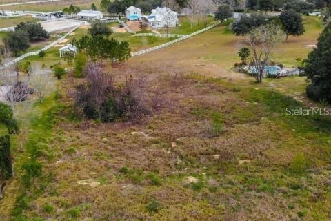 Terreno en venta en Clermont, Florida № 1905127 - foto 12