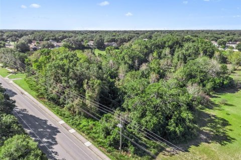 Terrain à vendre à Apopka, Floride № 2101640 - photo 5