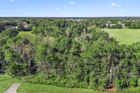 Terrain à vendre à Apopka, Floride № 2101640 - photo 17