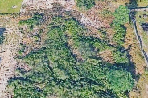 Terrain à Lehigh Acres, Floride № 2242018