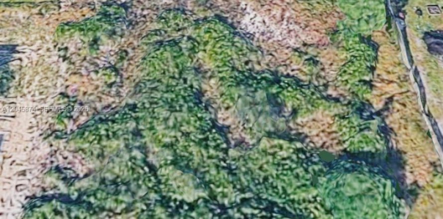Terrain à Lehigh Acres, Floride № 2242018