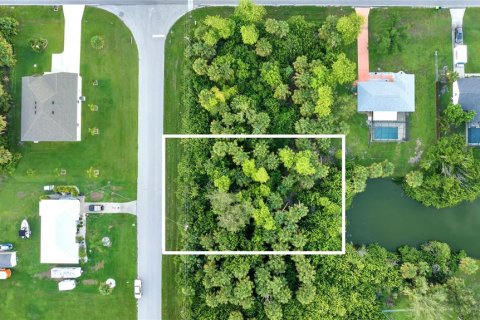 Land in Port Charlotte, Florida № 2205815 - photo 2