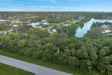 Land in Port Charlotte, Florida № 2205815 - photo 3
