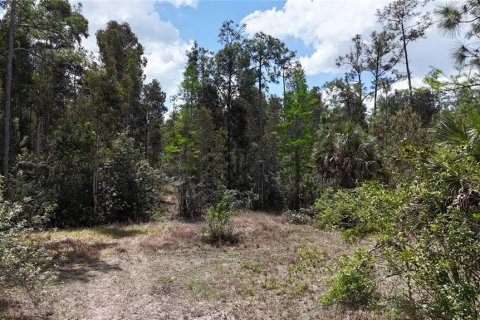 Land in Naples, Florida № 2166050 - photo 17