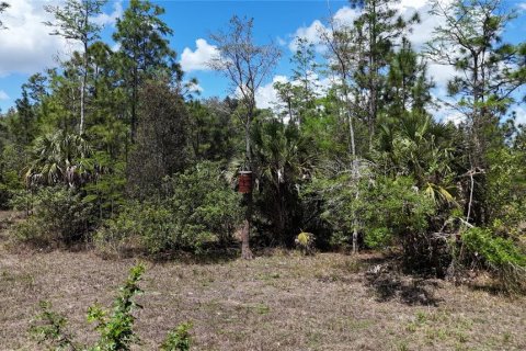 Land in Naples, Florida № 2166050 - photo 18