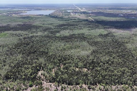 Land in Naples, Florida № 2166050 - photo 4