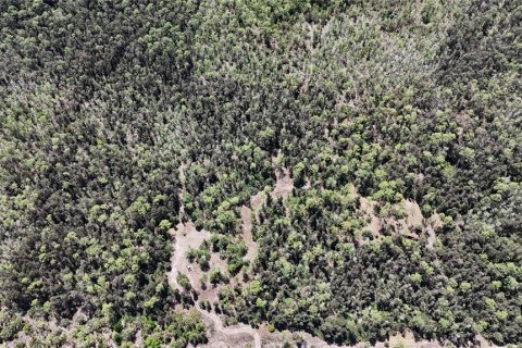 Land in Naples, Florida № 2166050