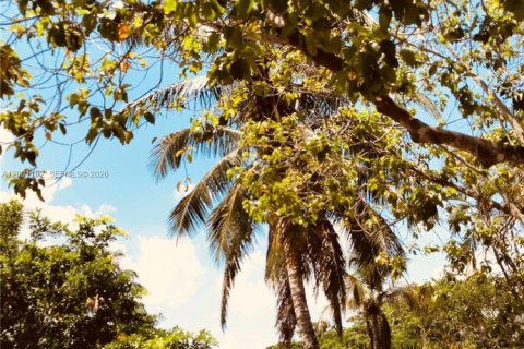 Снять в аренду квартиру в Санрайз, Флорида 1 спальня, 55.28м2, № 2065214 - фото 17