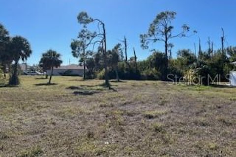Terreno en Rotonda, Florida № 2201174