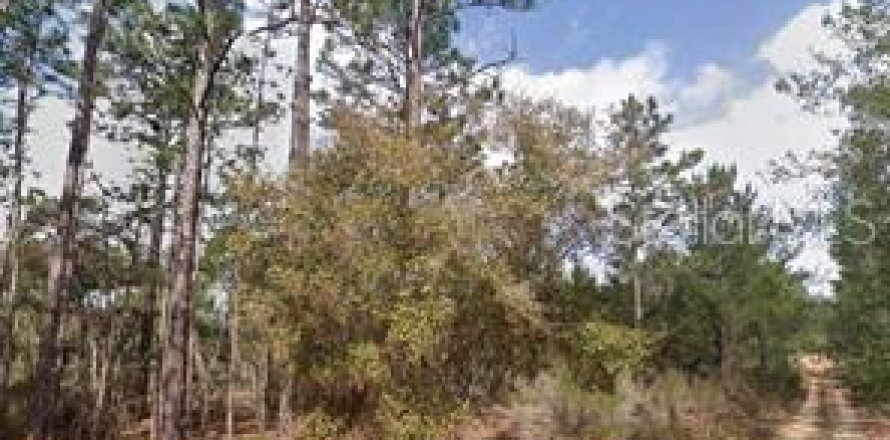 Land in Interlachen, Florida № 2163517