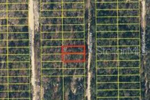 Land in Interlachen, Florida № 2163517 - photo 3