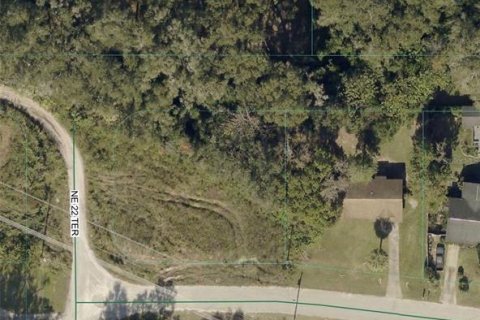 Land in Ocala, Florida № 2160643 - photo 3