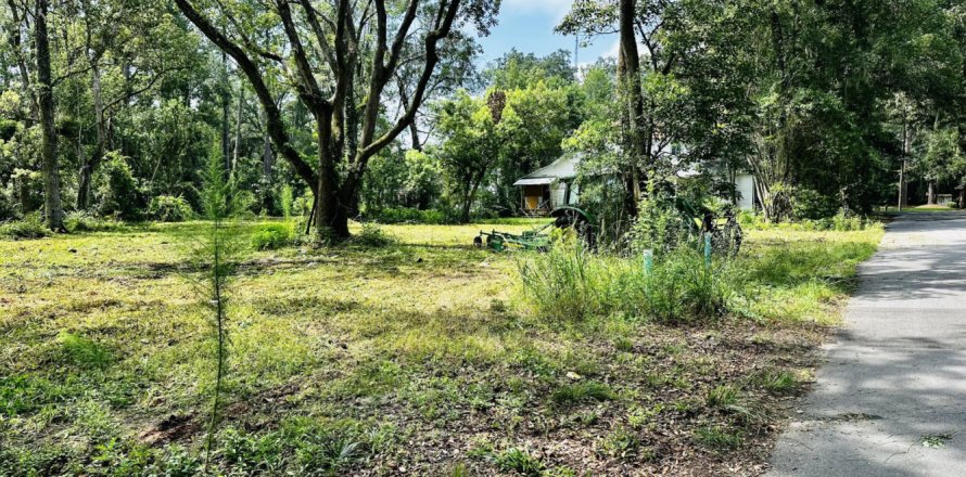 Terreno en Callahan, Florida № 769527