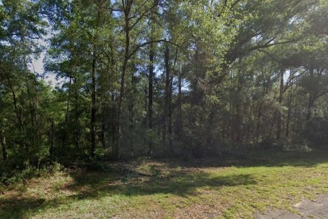 Land in Citrus Springs, Florida № 2280491