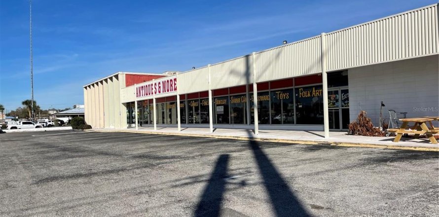 Immobilier commercial à Eustis, Floride 2487.55 m2 № 2403089
