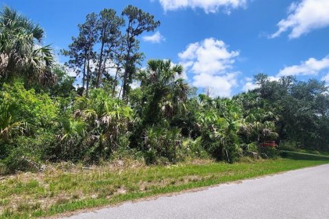 Land in Port Charlotte, Florida № 2228586 - photo 12