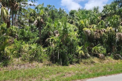 Land in Port Charlotte, Florida № 2228586 - photo 5