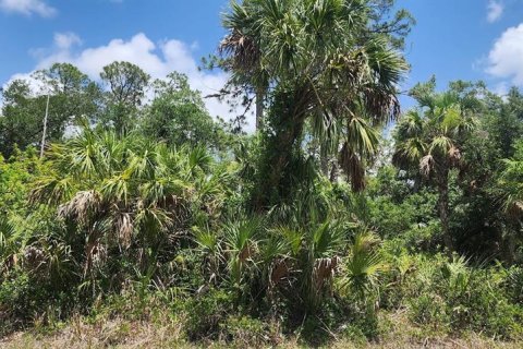Land in Port Charlotte, Florida № 2228586 - photo 7