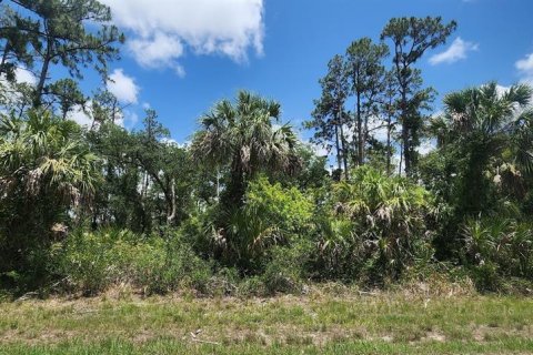 Land in Port Charlotte, Florida № 2228586 - photo 14