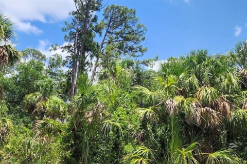 Land in Port Charlotte, Florida № 2228586 - photo 3
