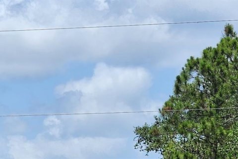 Land in Port Charlotte, Florida № 2228586 - photo 17