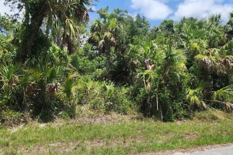 Land in Port Charlotte, Florida № 2228586 - photo 6