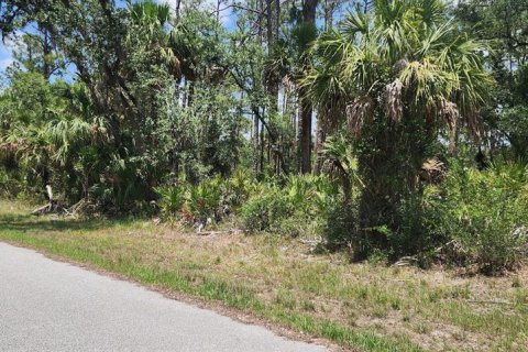 Land in Port Charlotte, Florida № 2228586 - photo 18