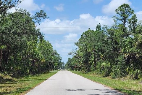 Land in Port Charlotte, Florida № 2228586 - photo 16