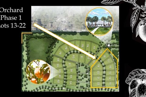 Land in Archer, Florida № 214094 - photo 4