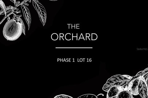 Land in Archer, Florida № 214094 - photo 1