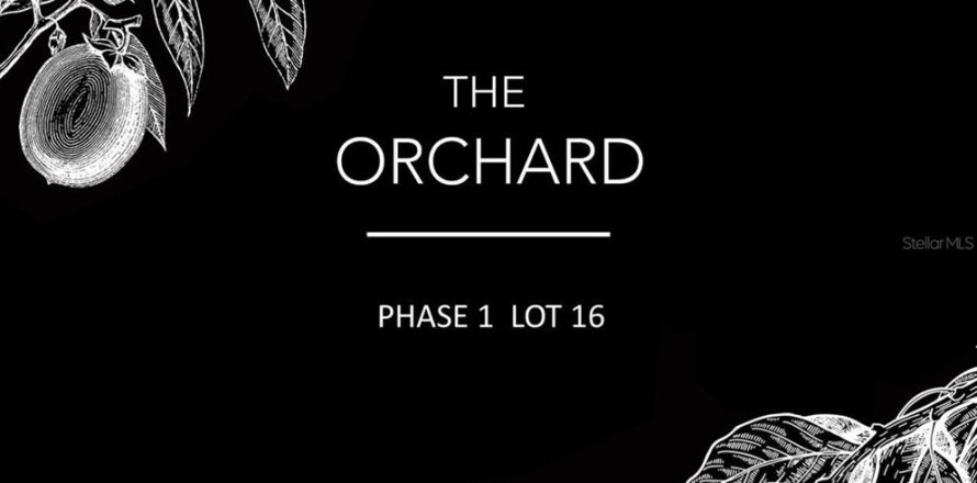 Land in Archer, Florida № 214094