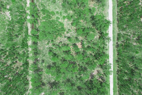 Land in Indian lake estates, Florida № 2202445 - photo 2