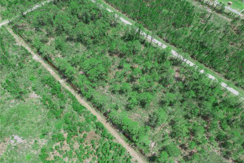 Land in Indian lake estates, Florida № 2202445 - photo 8