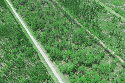 Land in Indian lake estates, Florida № 2202445 - photo 6