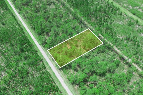 Land in Indian lake estates, Florida № 2202445 - photo 5