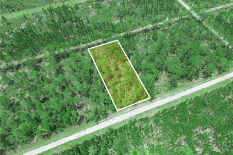 Land in Indian lake estates, Florida № 2202445 - photo 9