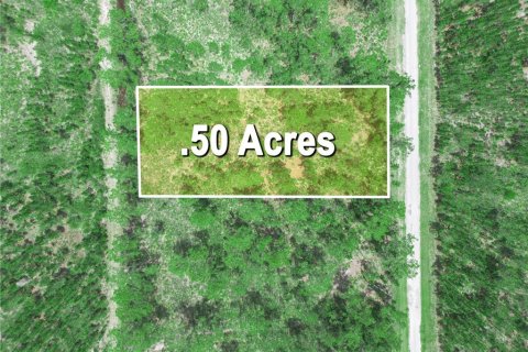 Land in Indian lake estates, Florida № 2202445