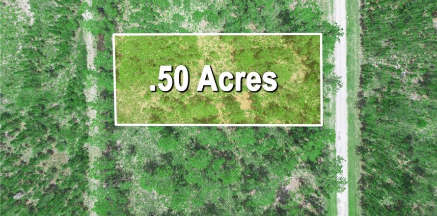 Land in Indian lake estates, Florida № 2202445