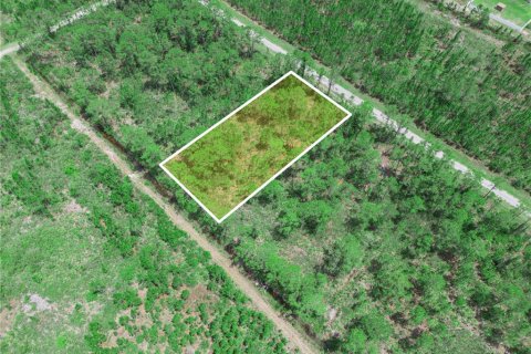 Land in Indian lake estates, Florida № 2202445 - photo 7